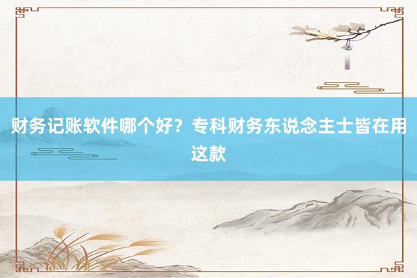 财务记账软件哪个好?专科财务东说念主士皆在用这款